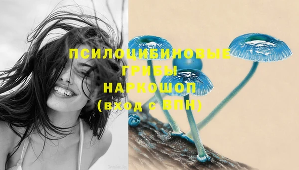 каннабис Карпинск
