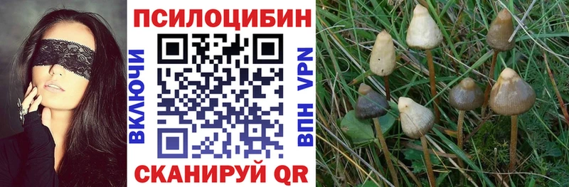 Галлюциногенные грибы MAGIC MUSHROOMS  где можно купить наркотик  Красный Кут 
